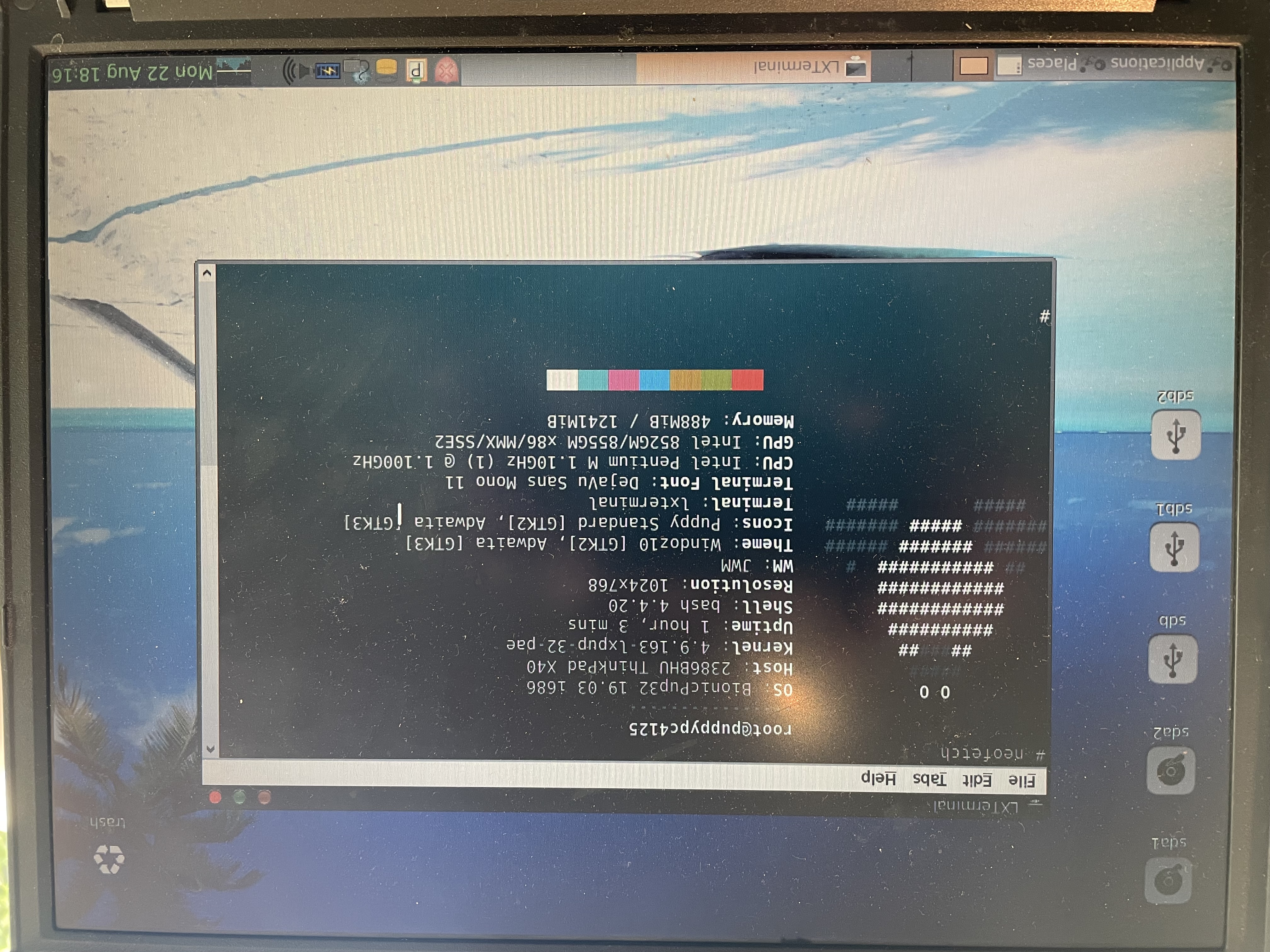 Neofetched stats for Puppy Linux install